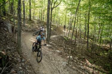 Three mountain bikers navigate a dirt trail through a lush, green forest. The scene captures the excitement and adventure of outdoor biking, surrounded by trees and rocky terrain under soft daylight. Mt. Telemark mountain bike trail.
