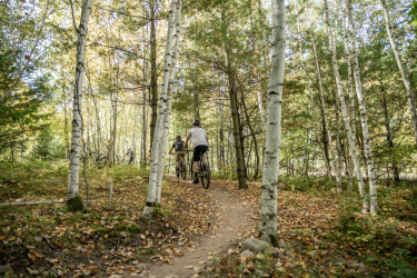 Two cyclists riding on a dirt trail through a forest with tall trees and fallen leaves. The scene captures the tranquility of nature during autumn. Mt. Telemark mountain bike trail.