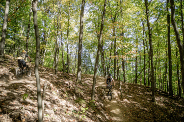 A group of mountain bikers navigating a dirt trail through a lush, green forest during daylight. The scene features trees with varying shades of green and some autumn leaves, with riders ascending and descending the trails. Mt. Telemark mountain bike trail.