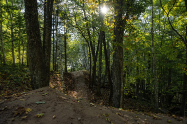 A scenic forest pathway illuminated by sunlight filtering through the trees, featuring a gentle slope of sandy earth on the left and a trail winding through lush green foliage. The image captures a serene natural environment with a mix of vibrant leaf colors, indicating a transition in seasons. Mt. Telemark mountain bike trail.