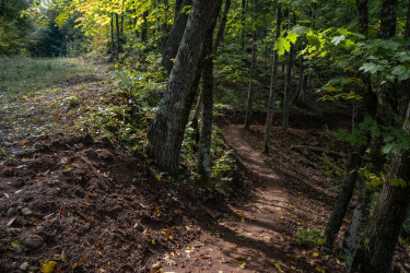 A winding dirt path through a forest, surrounded by trees with green and yellow leaves. The trail is lined with fallen leaves and small plants, leading into a wooded area. A small mound of dirt is visible on the left side of the trail, indicating recent activity. Soft sunlight filters through the foliage, creating a serene natural atmosphere. Mt. Telemark mountain bike trail.