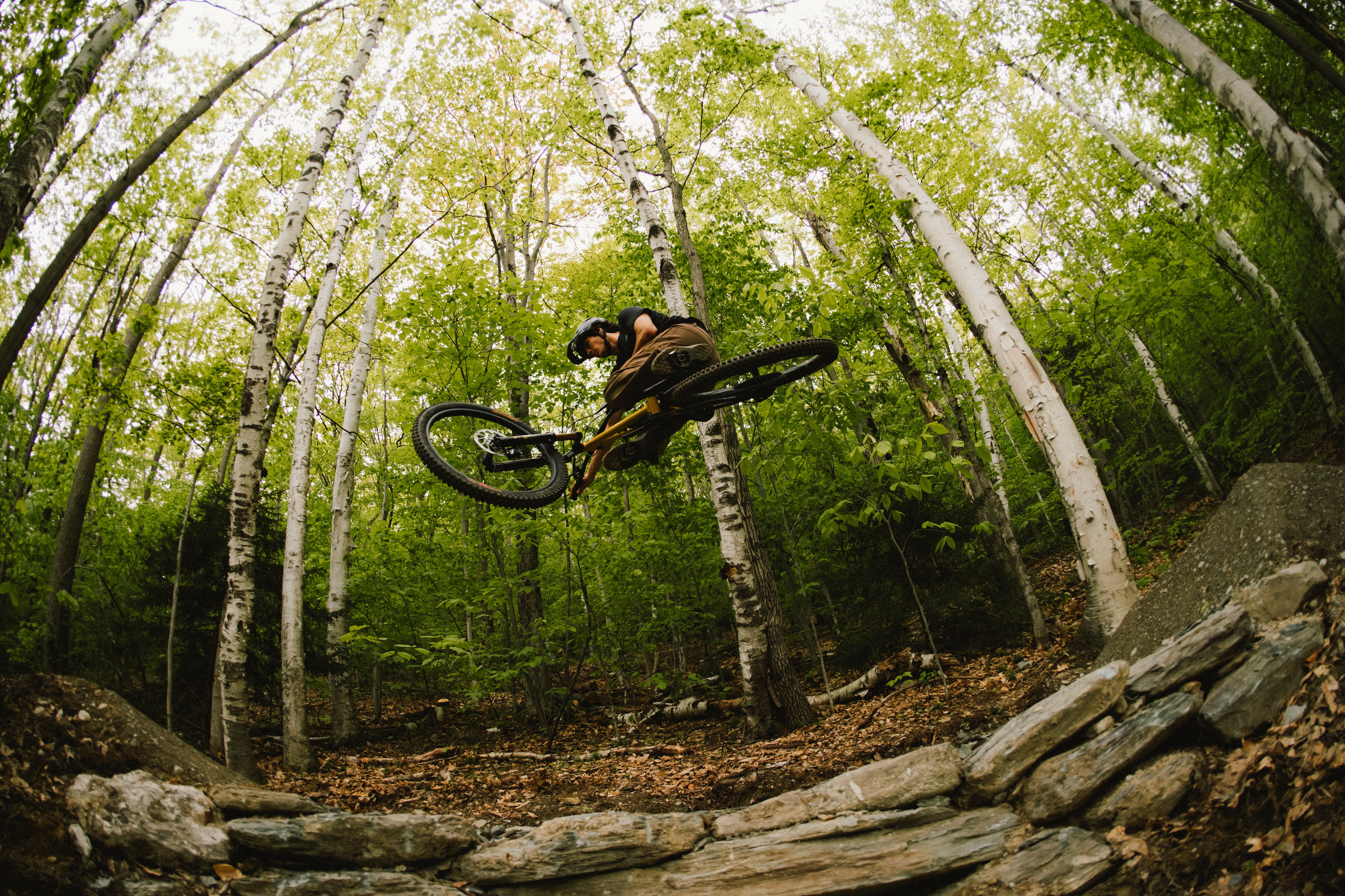 A mountain biker performs a jump over a rocky ramp in a lush green forest, surrounded by tall trees with vibrant leaves. The rider is mid-air, showcasing an impressive trick as they navigate the trail. Purple Valley Trails mountain bike trail.