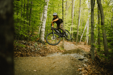 A mountain biker performing a jump on a dirt trail in a lush green forest. The rider is airborne with both wheels off the ground, surrounded by tall trees and foliage. The scene captures a sense of adventure and thrill in an outdoor setting. Purple Valley Trails mountain bike trail.