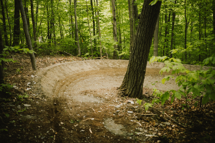 A winding dirt trail curves around a tree in a lush, green forest. The ground appears well-maintained, with a smooth surface suitable for biking or hiking. Surrounding foliage includes young trees and leaves, capturing the essence of a tranquil outdoor environment.