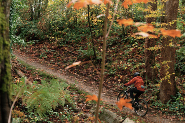 A mountain biker in a red jacket rides along a dirt path through a vibrant autumn forest, showcasing colorful leaves in shades of yellow and orange. The scene captures the beauty of nature and outdoor adventure, with mossy trees and ferns framing the trail. Cheasty Greenspace Trails mountain bike trail.