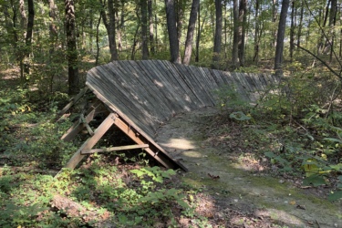A wooden ramp or bike feature leaning to one side, situated in a wooded area with trees and greenery. A fallen log with some fungi is visible in the foreground, surrounded by various plants on the forest floor. Mill Pond mountain bike trail.