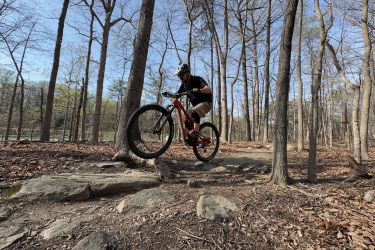 A mountain biker performing a jump over a rock on a forest trail, surrounded by bare trees and dry leaves, with a clear blue sky in the background. Locust Shade Park mountain bike trail.