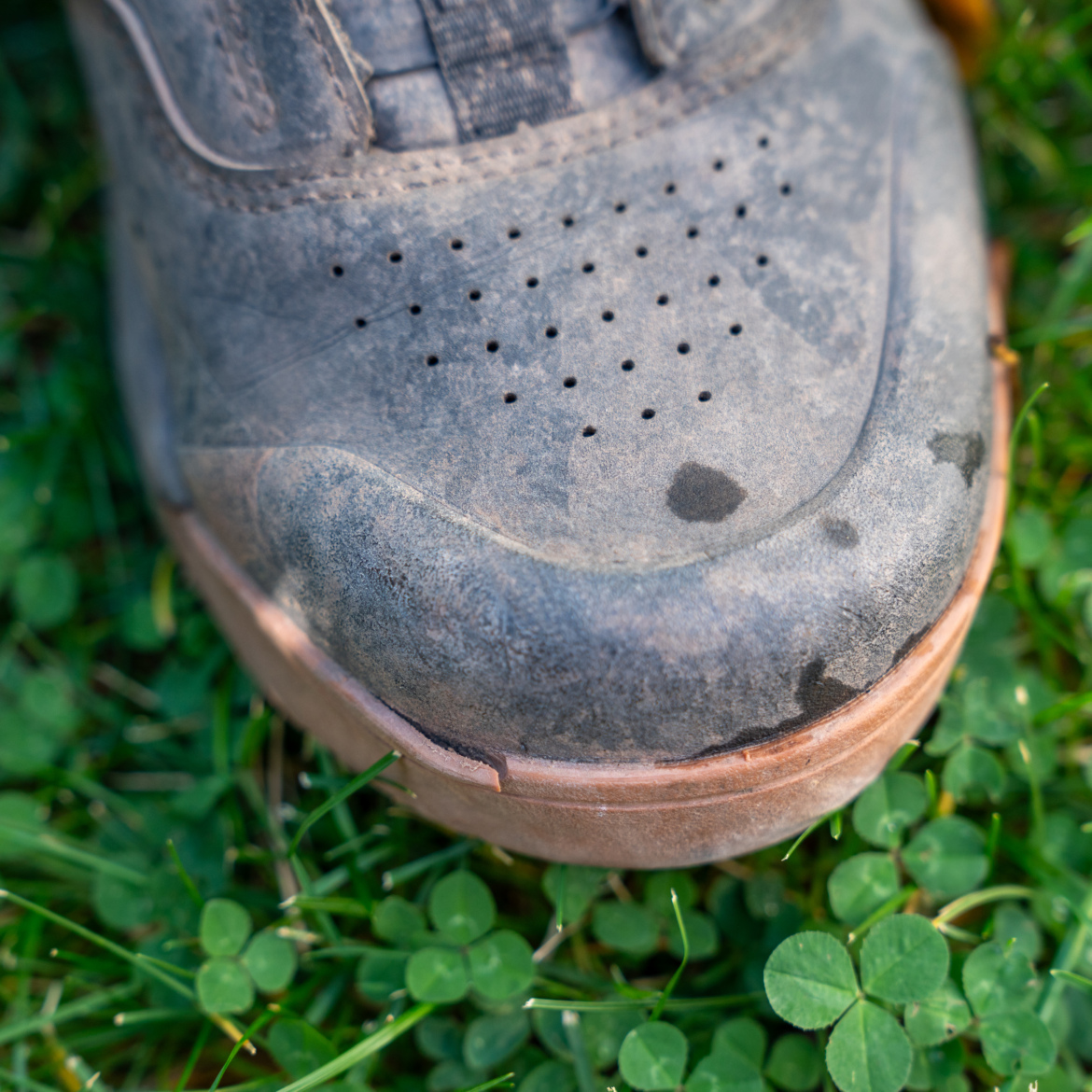 A close-up view of a muddy outdoor shoe resting on green grass with small clover leaves. The shoe is slightly worn, featuring a gray surface with noticeable dirt marks and scuffing on the toe area.