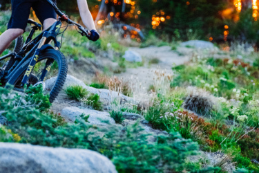 A mountain biker navigates a rocky trail surrounded by greenery at sunset. The rider, wearing a helmet and gloves, leans forward on the bike as they tackle the terrain, with soft golden light filtering through the trees in the background. Anthony Lakes Mountain Resort mountain bike trail.