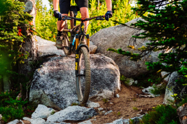 A mountain biker navigating a rocky trail, leaning forward on their bike with both hands on the handlebars. The scene is set in a forested area with trees and boulders surrounding the trail, showing a mix of green foliage and rugged terrain. The sun is shining, casting a warm light over the landscape, highlighting the rider's focused expression and athletic stance. Anthony Lakes Mountain Resort mountain bike trail.