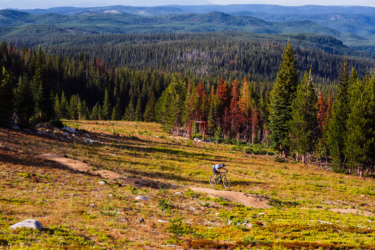 A mountain biker riding on a dirt trail surrounded by a scenic landscape of green and autumn-colored trees, with rolling hills and distant mountains in the background. The foreground features a mix of grass and rocky terrain under a clear blue sky. Anthony Lakes Mountain Resort mountain bike trail.