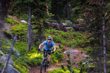 A mountain biker navigating a dirt trail surrounded by lush green foliage and trees, with sunlight filtering through the forest. The rider is focused and in motion, wearing a helmet and biking gear. Anthony Lakes Mountain Resort mountain bike trail.