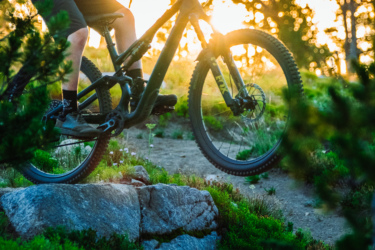 A person biking over a rock on a mountain trail at sunset, wearing a helmet and cycling gear, with greenery and trees in the background. Anthony Lakes Mountain Resort mountain bike trail.