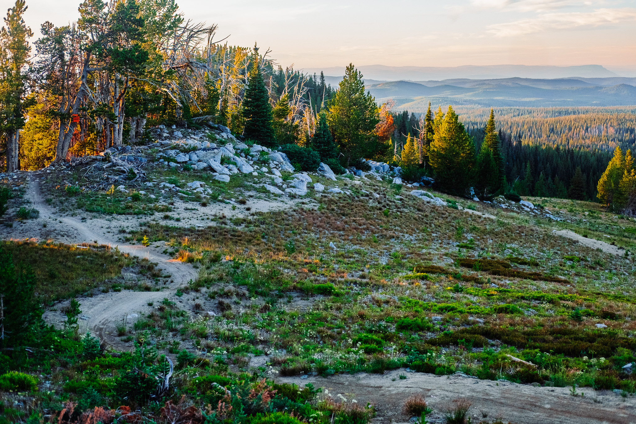 A scenic view of a hillside with a winding dirt path leading through grassy terrain, bordered by trees and rocky outcroppings. The landscape features a mix of greenery and rocky areas, set against distant mountain peaks under a clear sky. The warm light of sunset casts a gentle glow on the foliage and scenery. Anthony Lakes Mountain Resort mountain bike trail.