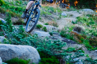 A young male cyclist in a helmet rides a mountain bike downhill on a rocky trail, surrounded by greenery and trees. The background features a sunset, creating a picturesque outdoor scene. Anthony Lakes Mountain Resort mountain bike trail.