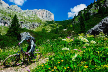 A mountain biker navigating a narrow trail through vibrant wildflowers, set against a backdrop of lush green hills and a rocky mountain peak under a bright blue sky with scattered clouds.