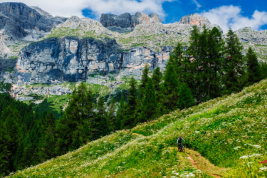 A mountain biker riding along a winding dirt path through lush green meadows adorned with wildflowers, with towering rocky cliffs and a blue sky dotted with clouds in the background. Sellaronda MTB Loop mountain bike trail.
