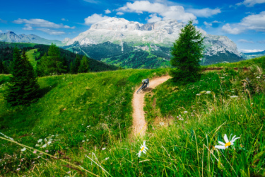 A mountain biker riding along a winding trail through lush green hills, with vibrant wildflowers in the foreground and majestic mountains in the background under a bright blue sky with scattered clouds. Sellaronda MTB Loop mountain bike trail.