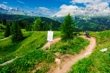 A mountain biker navigates a winding trail surrounded by lush green grass and wildflowers, with a picturesque backdrop of mountains under a blue sky. A sign indicating the trail is visible in the foreground.