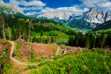 A cyclist rides on a winding dirt trail through a lush green forest with mountainous landscapes in the background. The scene features clear blue skies with scattered clouds, while the slopes are adorned with patches of trees and open fields, highlighting the beauty of nature.