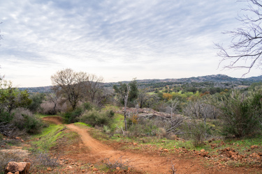 A winding dirt path leads through a lush, green landscape dotted with trees and shrubs, under a cloudy sky. In the background, rolling hills create a serene backdrop, showcasing a mix of greenery and rocky terrain. Reveille Peak Ranch mountain bike trail.