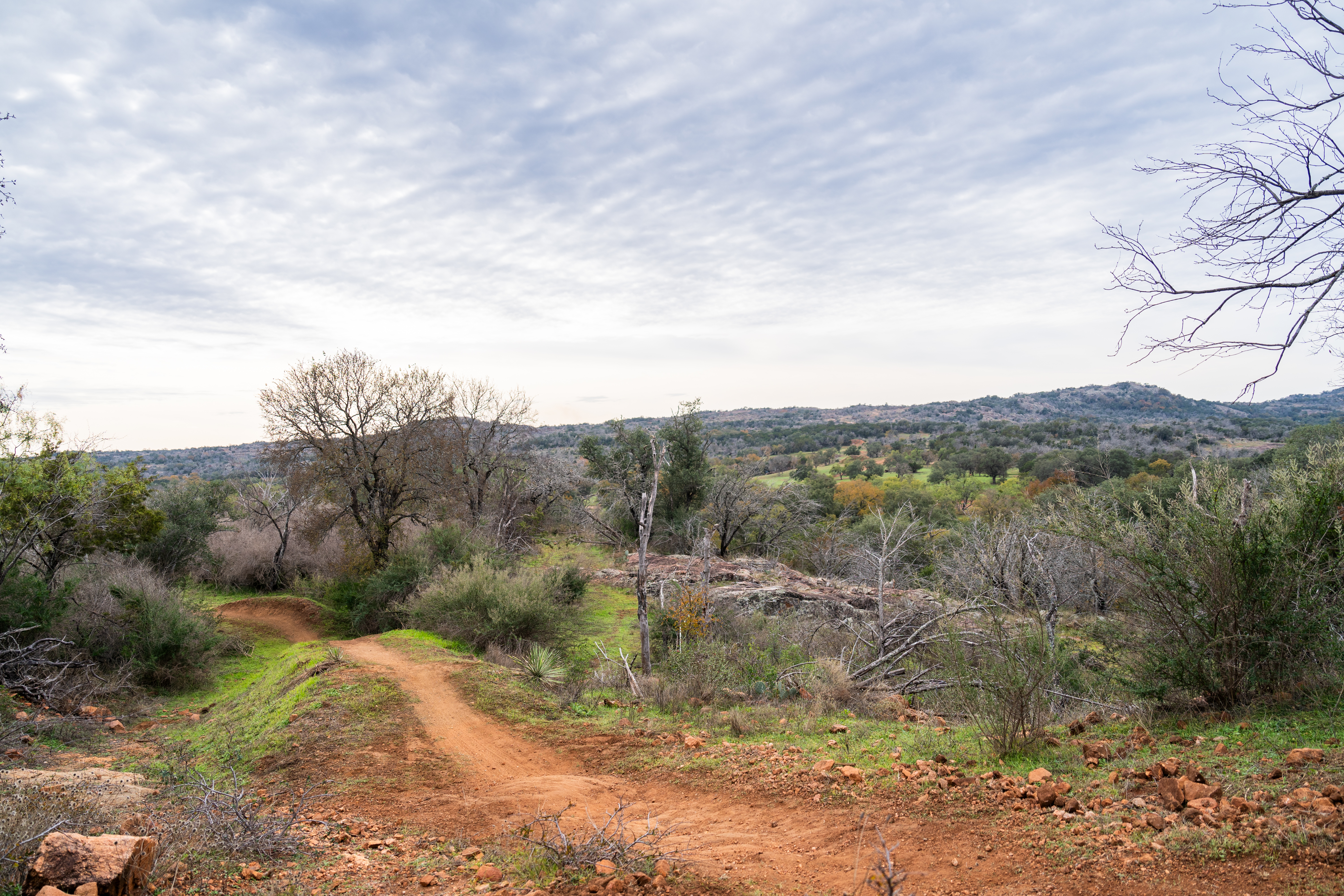 A winding dirt path leads through a lush, green landscape dotted with trees and shrubs, under a cloudy sky. In the background, rolling hills create a serene backdrop, showcasing a mix of greenery and rocky terrain. Reveille Peak Ranch mountain bike trail.