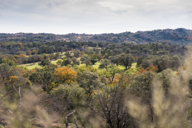 A scenic landscape featuring rolling hills covered with lush greenery and clusters of trees, displaying hints of autumn colors. The sky is slightly cloudy, creating a tranquil atmosphere. The foreground includes grassy areas and branches, while the background showcases a mix of trees and hills, illustrating the beauty of natural scenery. Reveille Peak Ranch mountain bike trail.