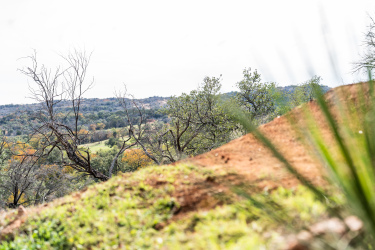 A scenic view of a hilly landscape featuring a mix of green grass and reddish soil, with sparse trees and shrubs in the foreground and a backdrop of rolling hills and autumn foliage in the distance under a cloudy sky. Reveille Peak Ranch mountain bike trail.