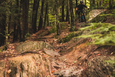 Mountain biker navigating a rocky trail in a forested area, surrounded by tall trees and scattered leaves on the ground. Perry Hill mountain bike trail.