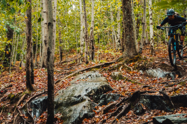 A mountain biker navigates a rocky trail surrounded by tall trees and fallen leaves in a forest setting. The scene showcases the vibrant autumn colors of the foliage. Perry Hill mountain bike trail.