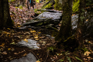 Two mountain bikers navigate a rocky trail surrounded by trees with autumn foliage. The scene showcases a rugged terrain, with leaves scattered on the ground and sunlight filtering through the trees. One biker is in the foreground, focused on the path ahead, while the second biker follows behind. Perry Hill mountain bike trail.
