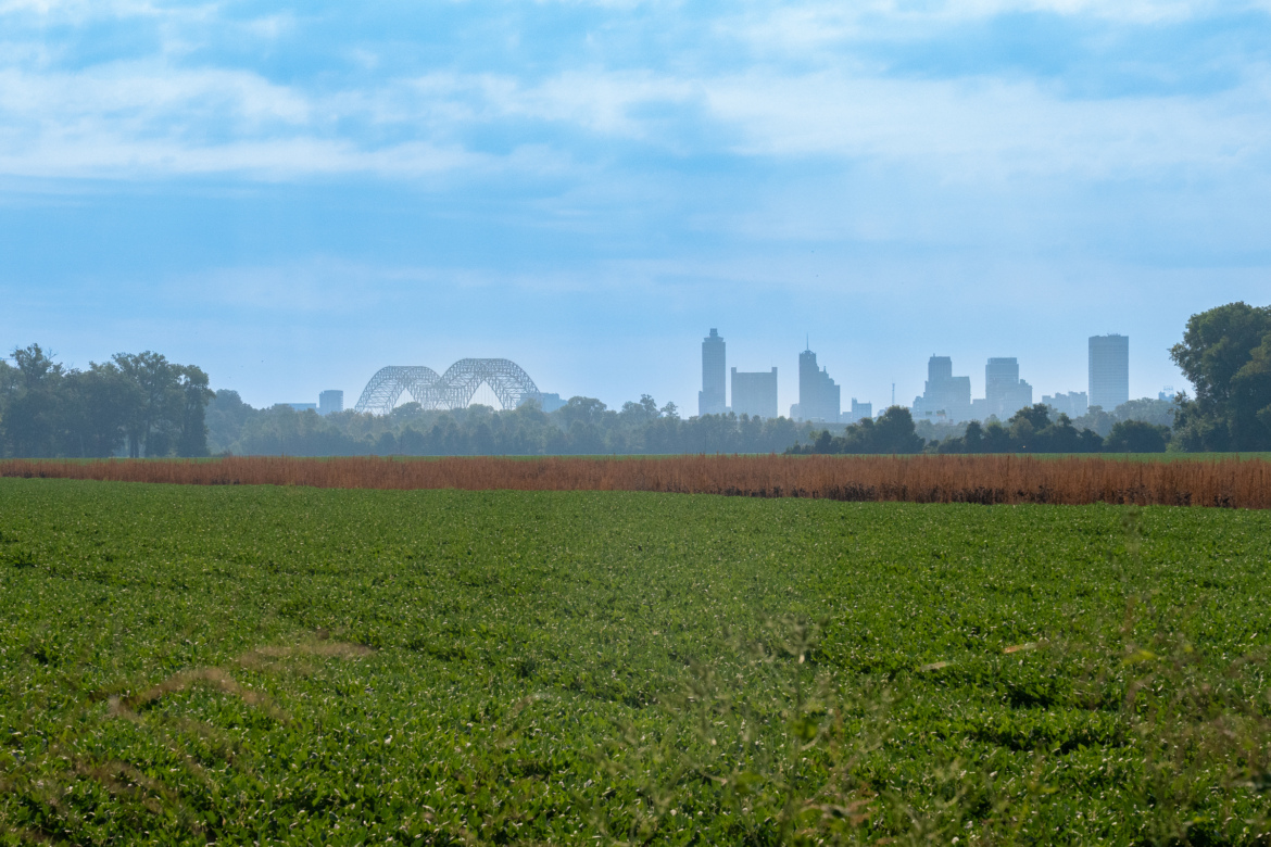 A scenic view of a green field in the foreground, leading to a city skyline in the background. The skyline features tall buildings partially obscured by a slight haze, with a distinctive architectural structure seen between the buildings. The sky is blue with subtle clouds, creating a tranquil atmosphere.