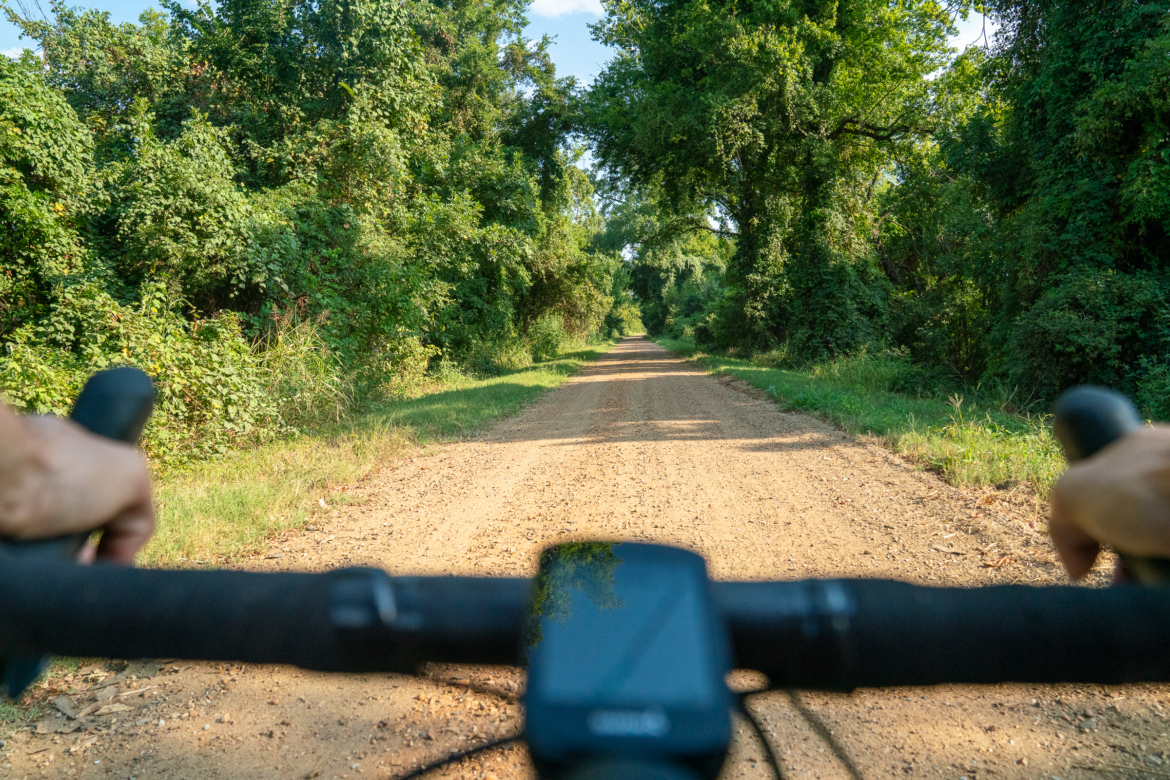 A view from the handlebars of a bicycle on a dirt road, surrounded by lush green trees and foliage under a clear blue sky.