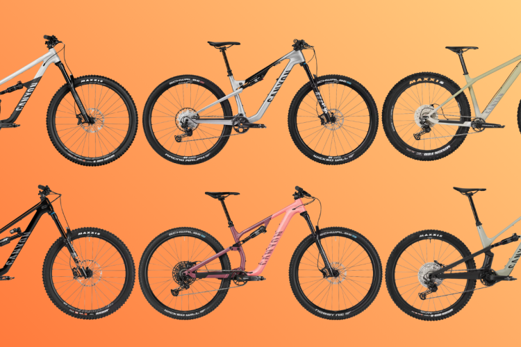 A flat lay of six mountain bikes arranged on an orange background. The bikes feature various designs and colors, including black, gray, pink, and beige frames. Each bike has distinct tire brands and patterns, showcasing a mix of styles for different riding preferences.