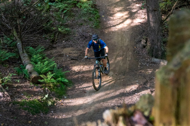A mountain biker rides along a winding dirt trail in a wooded area, surrounded by lush greenery and tall trees. Sunlight filters through the canopy, casting dappled shadows on the trail. Sidewinder mountain bike trail.