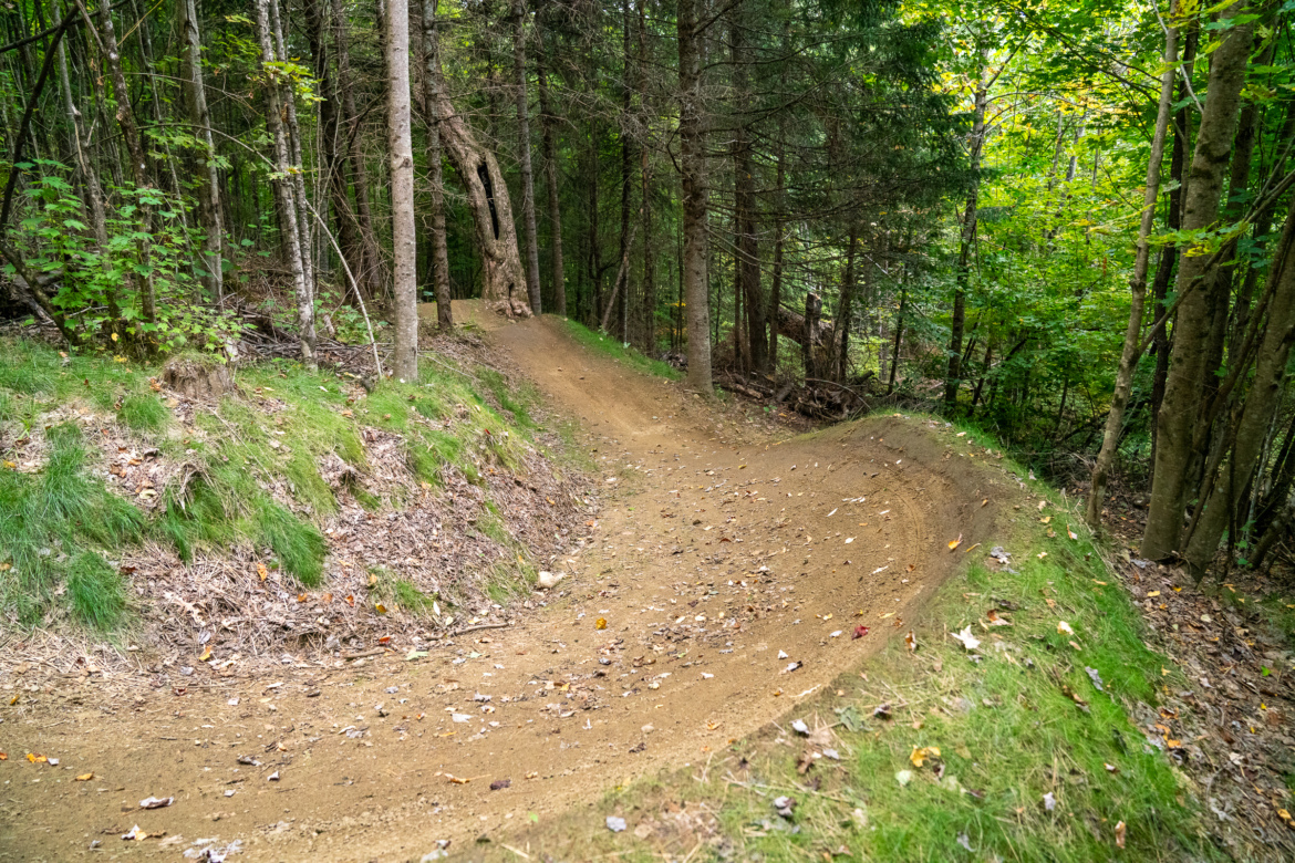 A winding dirt path in a lush forest, surrounded by tall trees and scattered fallen leaves, leading through greenery on either side. The trail curves gently to the right, indicating a natural hiking or biking route ideal for outdoor activities.