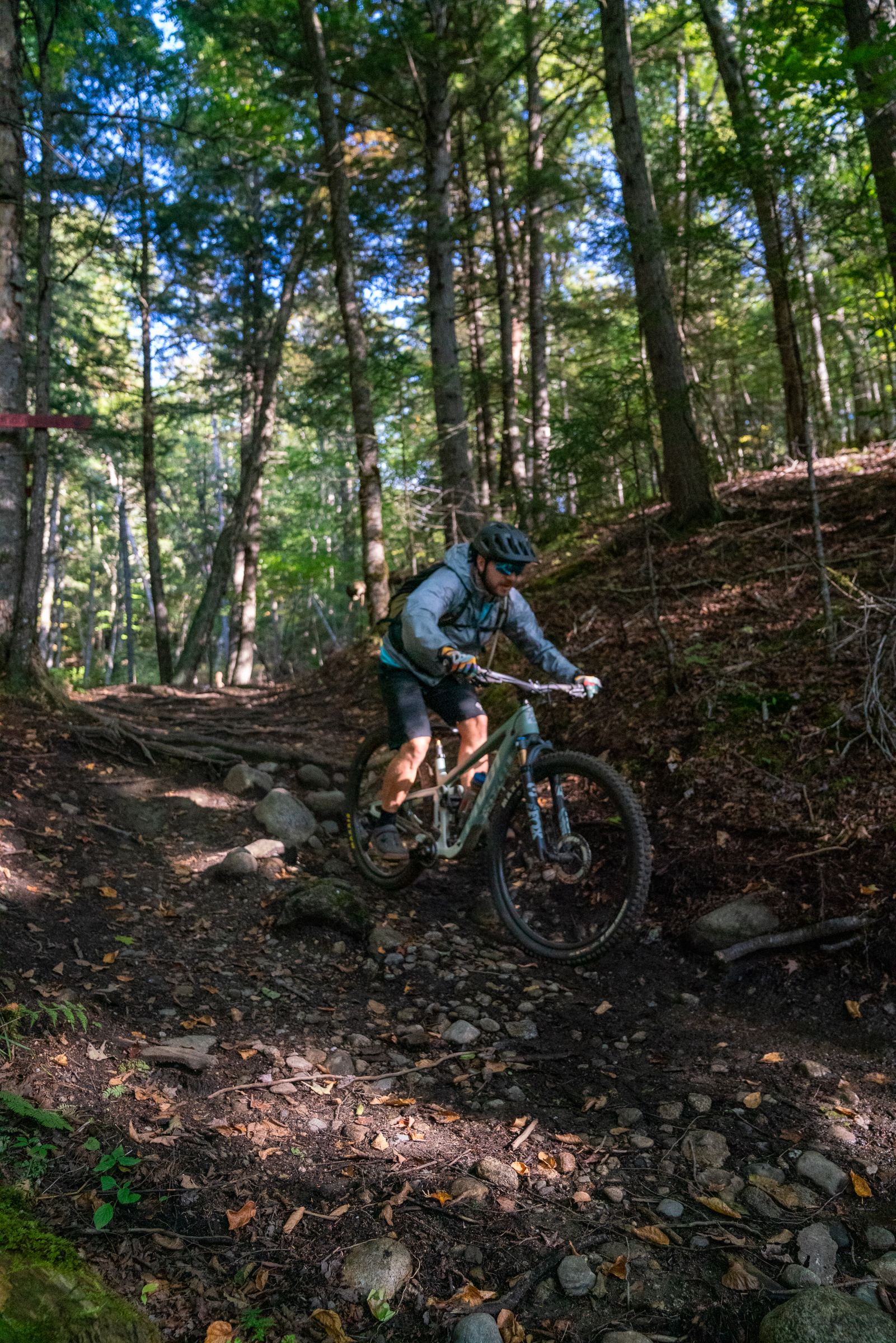 A mountain biker navigating a rocky trail surrounded by trees, captured mid-jump on a forest path. Sunlight filters through the leaves, highlighting the terrain as the rider wears a helmet and protective gear. Widow Maker mountain bike trail.