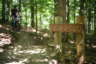 A wooden trail sign labeled "Swoop-D-Doo" positioned on a dirt path surrounded by lush green trees. In the background, a cyclist is blurred while riding along the trail. Sunlight filters through the leaves, creating dappled shadows on the ground. Durham Forest mountain bike trail.
