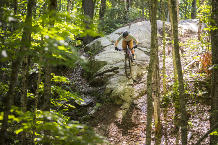 A mountain biker navigating a rocky trail in a lush, green forest, with sunlight filtering through the trees.
