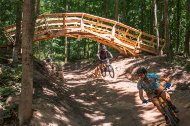 Two mountain bikers navigate a dirt trail through a wooded area, one riding closely beside a wooden bridge overhead. The scene is vibrant with greenery, and sunlight filters through the trees, highlighting the riders and the path. Hydrocut mountain bike trail.