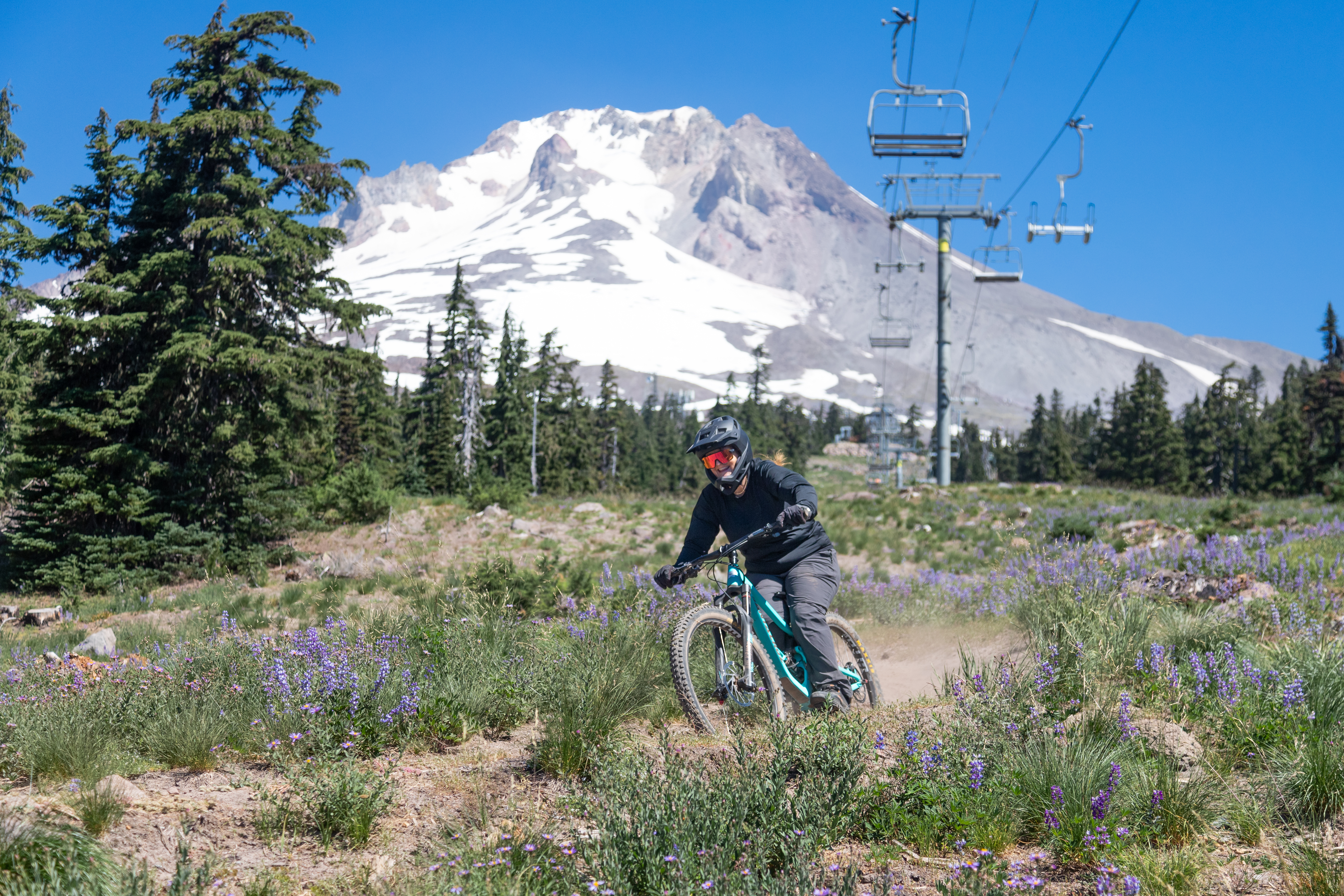 A mountain biker navigating a dirt trail surrounded by wildflowers, with a snow-capped mountain and ski lift in the background under a clear blue sky. Timberline Bike Park mountain bike trail.