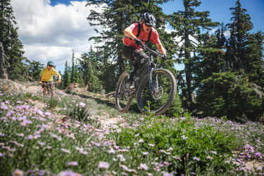Two mountain bikers navigate a scenic trail surrounded by vibrant wildflowers and pine trees. One rider, dressed in a red shirt and helmet, is leaping over a rocky section, while the other, wearing a yellow shirt and helmet, is approaching from behind. The sky is partly cloudy, adding to the picturesque outdoor setting.