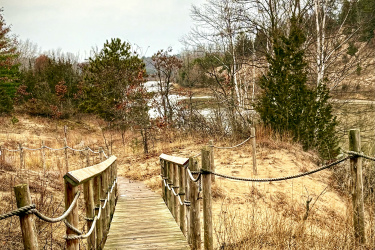 A wooden pathway leading to a serene landscape, bordered by tall grasses and trees. The scene depicts a calm river in the distance under a cloudy sky, creating a peaceful nature setting. Lambton County Heritage Forest mountain bike trail.