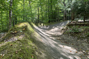 A winding dirt trail through a lush green forest, featuring gentle slopes and curves, with patches of sunlight filtering through the trees. The trail is bordered by moss-covered ground and scattered leaves. Kingdom Trails mountain bike trail.