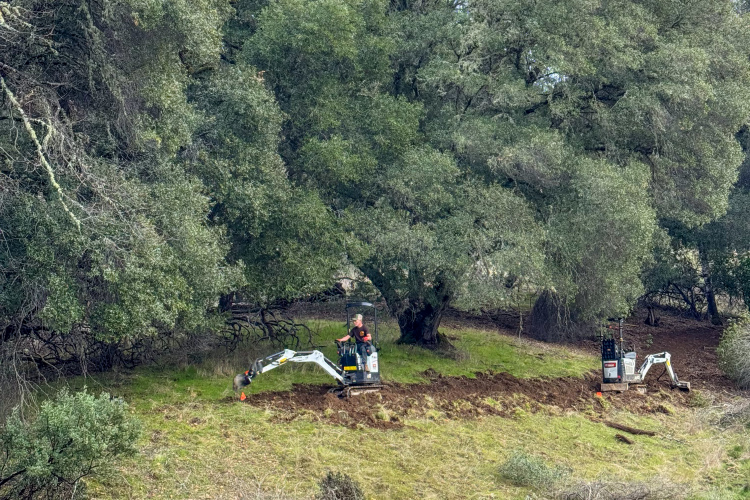 Two small excavators are working in a grassy area beneath large trees, with one operator in each machine. The ground shows signs of recent digging, and orange markers are placed along the newly disturbed soil. The surroundings are lush with greenery, creating a natural backdrop.