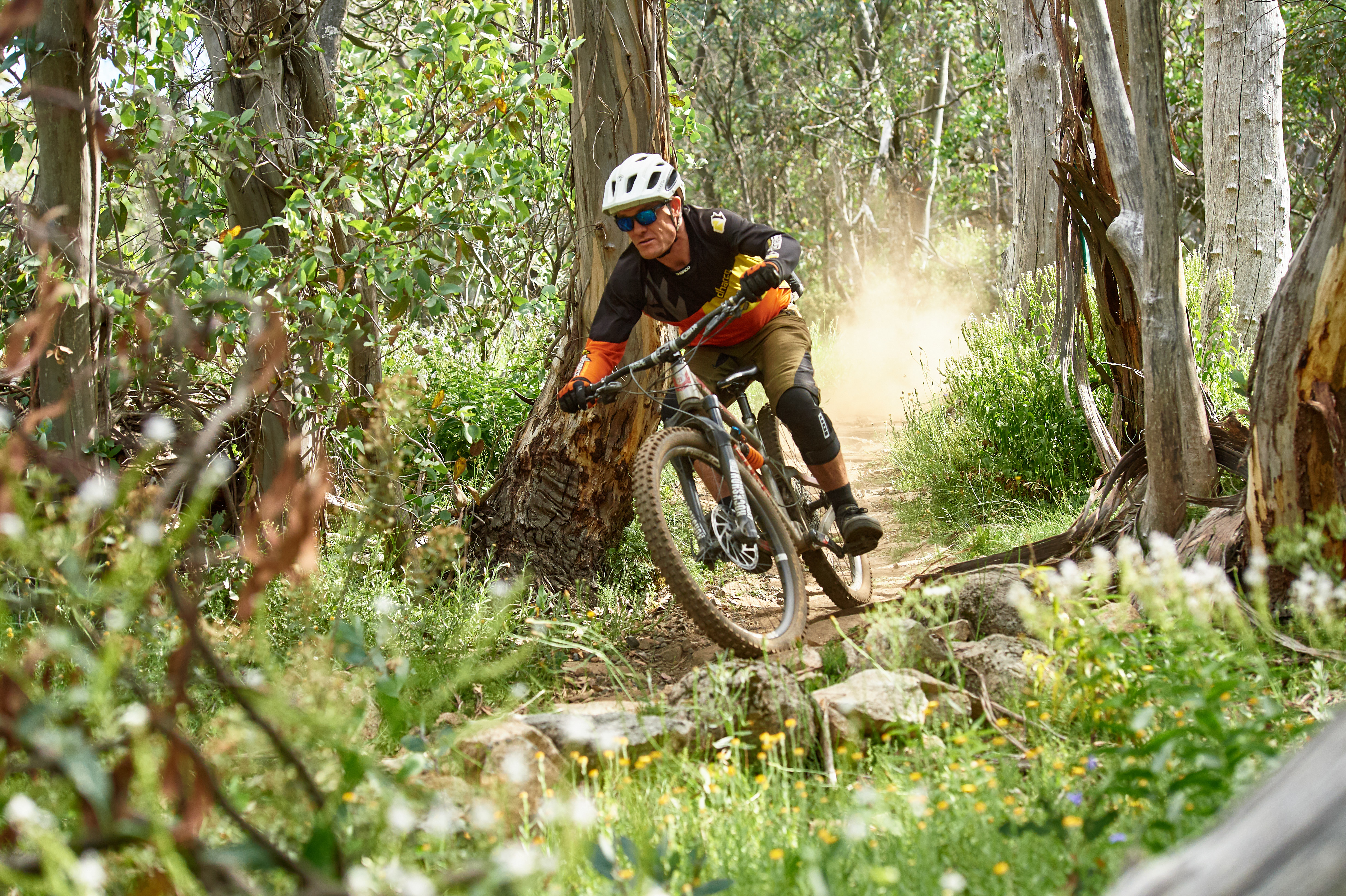 A mountain biker navigating a twisting dirt trail through a lush forest, framed by tall trees and vibrant foliage, with dust rising around the bike as it leans into a turn. Mount Buller MTB Complex mountain bike trail.