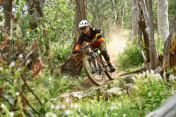 A mountain biker navigates a twisting trail through a lush, green forest, surrounded by trees and wildflowers. Dust flies up behind the bike as the rider leans into a turn, showcasing an action-packed moment in nature. The rider is wearing a helmet, sunglasses, and protective gear, emphasizing the excitement and thrill of mountain biking.