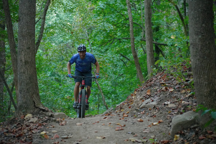 A person riding a mountain bike along a dirt trail in a lush green forest, surrounded by trees and fallen leaves. The rider is wearing a blue shirt, shorts, and a helmet.