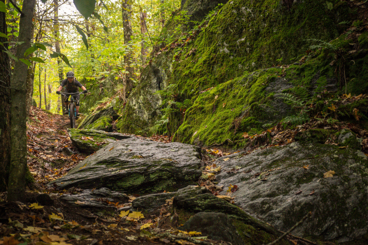 A mountain biker navigating a narrow, rocky trail surrounded by lush green foliage and moss-covered rocks during autumn. Fallen leaves are scattered on the ground, creating a colorful contrast against the earthy tones of the trail.