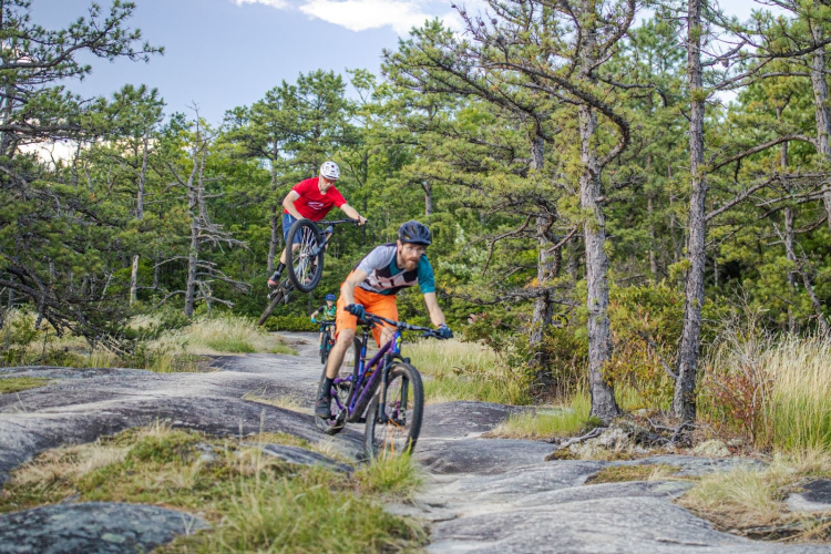 Two mountain bikers are riding on a rocky trail through a forested area. One biker in a red shirt is performing a jump, while another biker in a blue and gray shirt approaches the trail. The surrounding landscape features trees and shrubs, with some tall grass visible in the foreground.